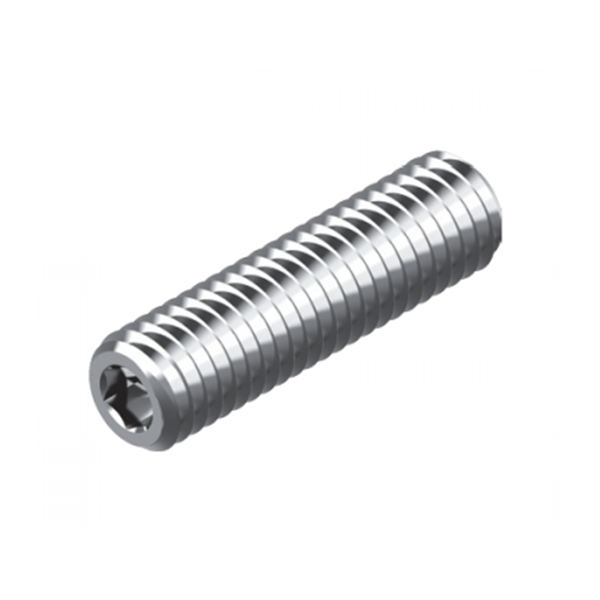 Inox World Stainless Hex Socket Set Screw A2 (304) M12 Pack of 100 (4038515327048)