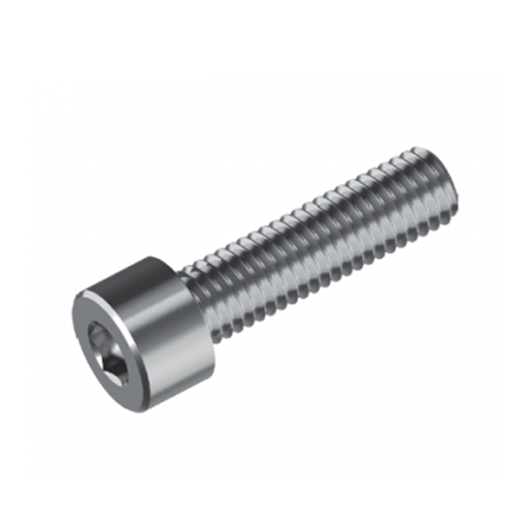 Inox World Stainless Hex Socket Cap Screw A2 (304) M2 Pack of 100 M2 x 12