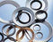 Hobson Schnorr Type S Safety Washer 304 Stainless Serrated M8 Pack of 50 (4447776473160)